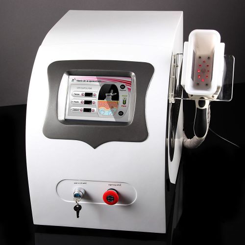 Powerful cold slimming freezing fat therapy cellulite removal photon vacuum 1008 for sale