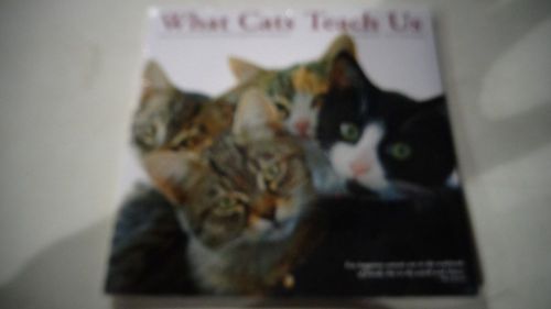 What Cats Teach Us 18 Month Calendar 2015