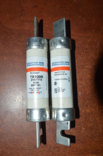 Ferraz Shawmut Tri-Onic (TR100R)  D1027114 100-Amp 250-Volt-AC Dual-Element Fuse