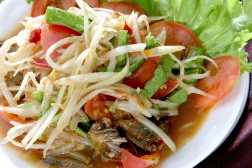 Papaya Salad Recipe Thai Food Homemade DIY Free E-mail Shipping