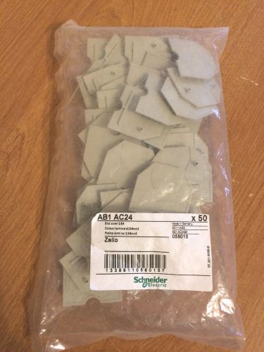 New bag of 50 schneider electric ab1 ac24 end covers for sale