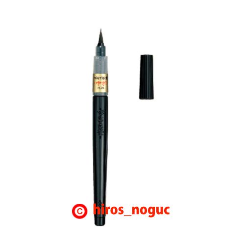 Pentel Fude Brush Pen, Medium (XFL2L)  Free Shipping