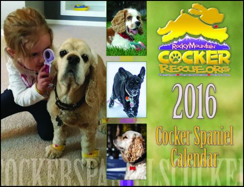 2016 Cocker Spaniel Rescue wall calendar RMCR support a cocker rescue