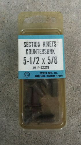SECTION RIVETS COUNTERSUNK 5-1/2 X 5/8 15 PIECES!