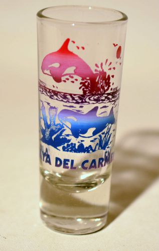 Playa Del Carmen Beach Mexico Souvenir Collectible Shooter Shot Glass 2 oz