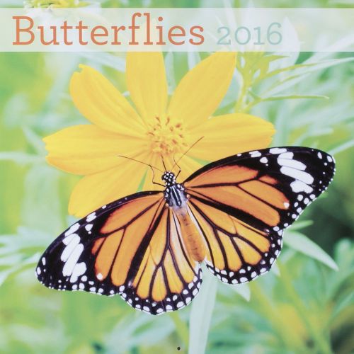 16-Month 2016 BUTTERFLIES Wall Calendar NEW &amp; SEALED Scenic Nature Photography