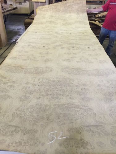 Wood Veneer White Oak Burl 48x144 1 Piece 20Mil Paper Backed HALF OFF!!!