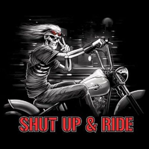 040e Freedom Rider Motorcycle Biker HEAT PRESS TRANSFER T-Shirt Sweatshirt Print