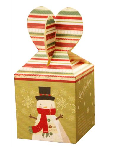 Set of 5 Exquisite Packaging/ Gift Boxes Christmas Gift Box  -Apple Box 03