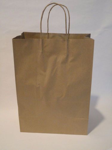 50 Ct Missy Retail Shopping Bag Rope Handle 10 x 5 x 13 Flat Bottom