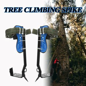 Tree Climbing Spike Set Safety Belt w/Gear Adjustable Lanyard Picking Fruit