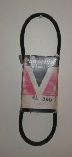 Powerflite 4l 300 v belt for sale