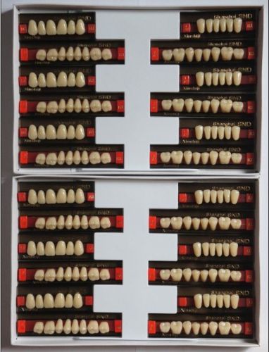 Oral 28x1 SND denture acrylic resin dentures B3 color 6 to pay full mouth