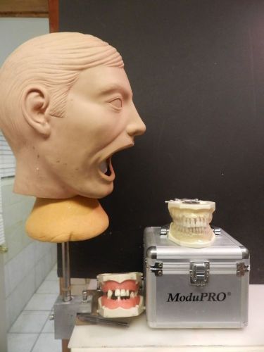 dental manikin