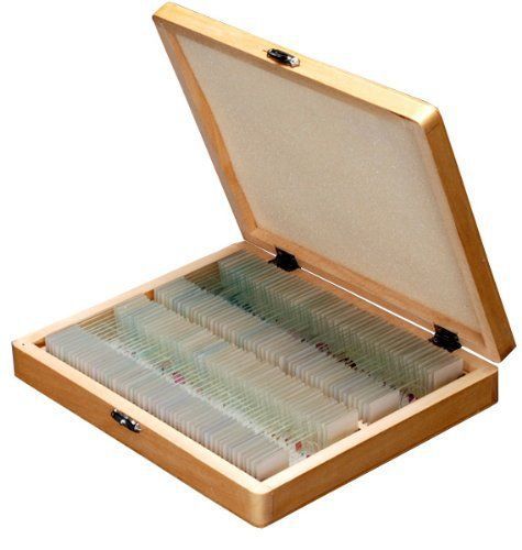 Tissue glass slides prepared covers set lab life science biology wooden storage for sale