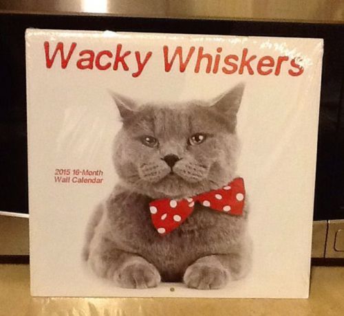 Vista 2015 Wall Calendar Animal Lovers  Pet Cat &amp; Dog Wacky Whiskers 16 Month