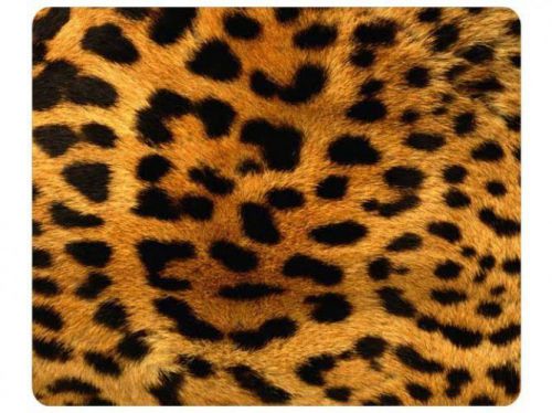 Leopard Print Great Animal Style Mouse Pad