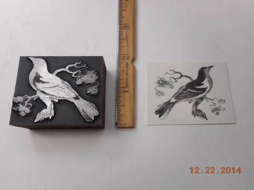 Letterpress Printing Printers Block, Ornithology, Unknown Bird