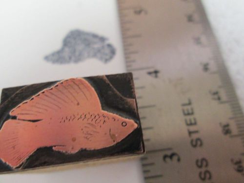 Letterpress Printing Printers Cut Printers Block, Black Molly Fish