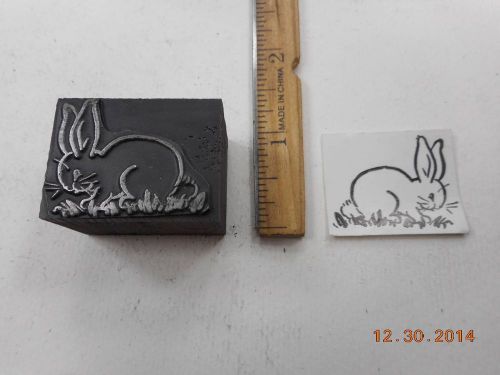 Letterpress Printing Printers Block, Spring Bunny Rabbit in Grass