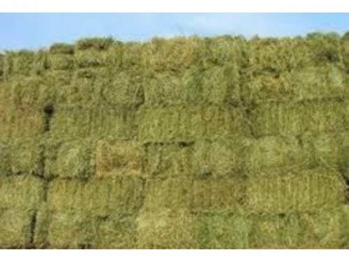 Big bale hay