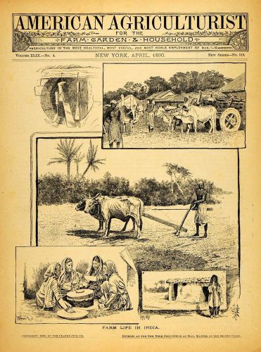 1890 cover american agriculturist farm life india cattle livestock aag1 for sale