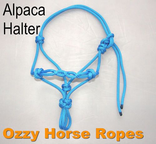 Ozzy horse ropes     alpaca halter for sale