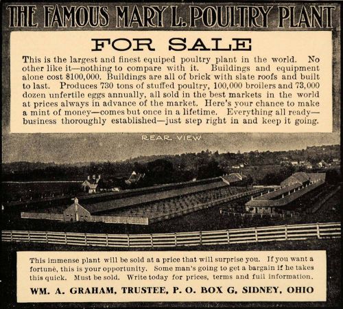 1905 ad famous mary l poultry plant will graham sidney - original cc1 for sale