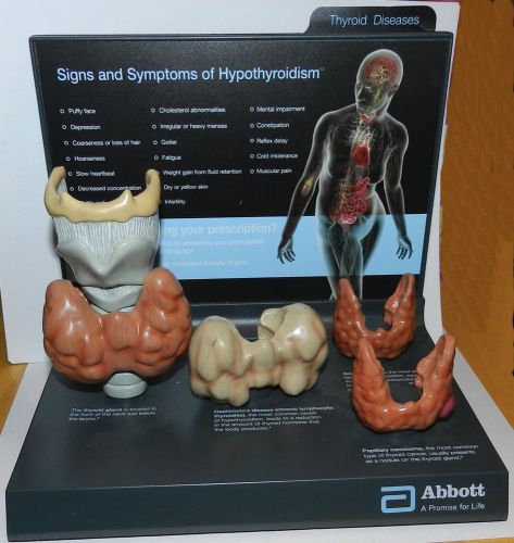 Hypothyroidism Teaching Display Signs &amp; Symptoms Thyroid Diseases Abbott Labs