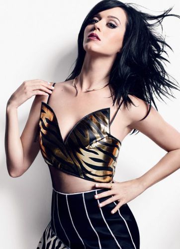 Katy Perry ~ 18x24 New HOT! POSTER #75