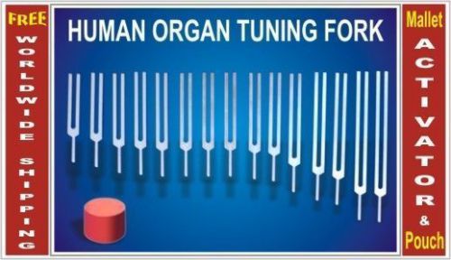 15 human body organ tissue bone healing tuning forks hls ehs for sale
