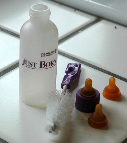 Just born farnam baby animal baby bottle 3 nipples &amp; brush for kittens puppies for sale