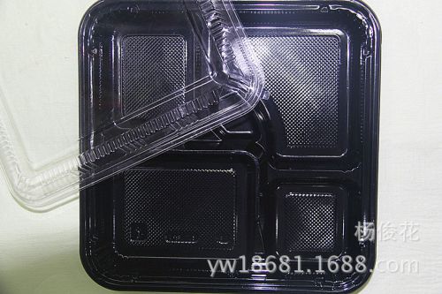 Sushi Container TZ307 Bento 10.8x10.8x2 5C 100set
