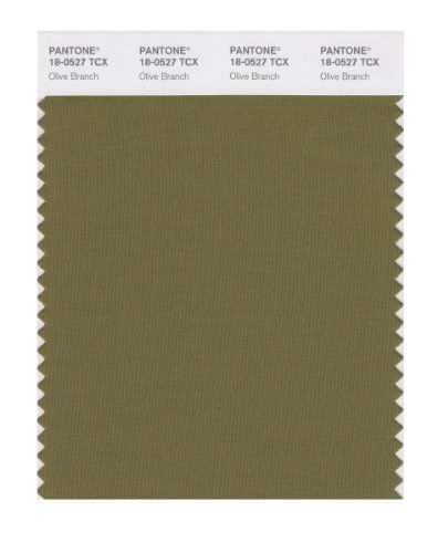 PANTONE SMART 18-0527X Color Swatch Card, Olive Branch