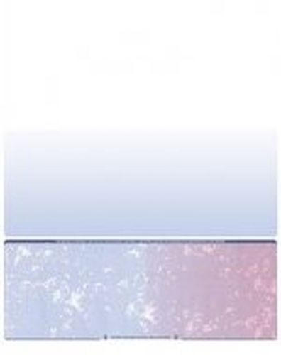 Blank Check Stock-Computer Check Paper-Check On Bottom Prismatic Blue Red-100...