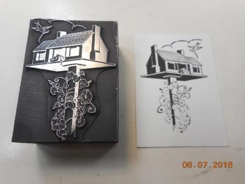 Letterpress Printing Block, Vines Climb Up charming Bird House, Type Cut