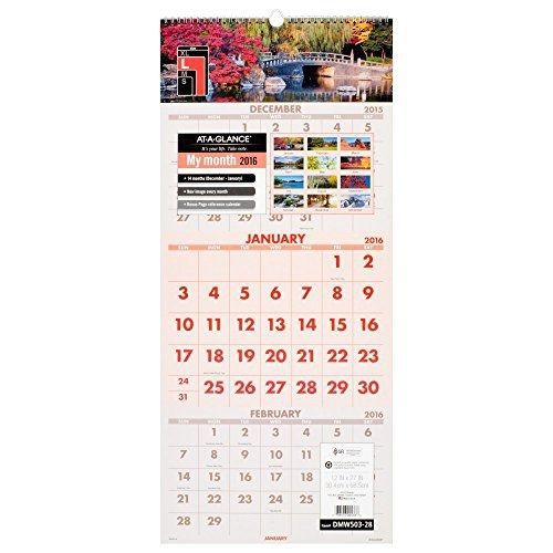 At-A-Glance AT-A-GLANCE 3-Month Wall Calendar 2016, 14 Months, Recycled, Scenic,