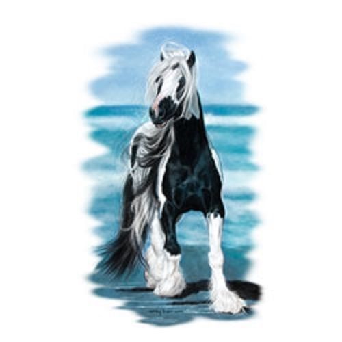 Sea gypsy paint horse heat press transfer for t shirt sweatshirt fabric 239c for sale