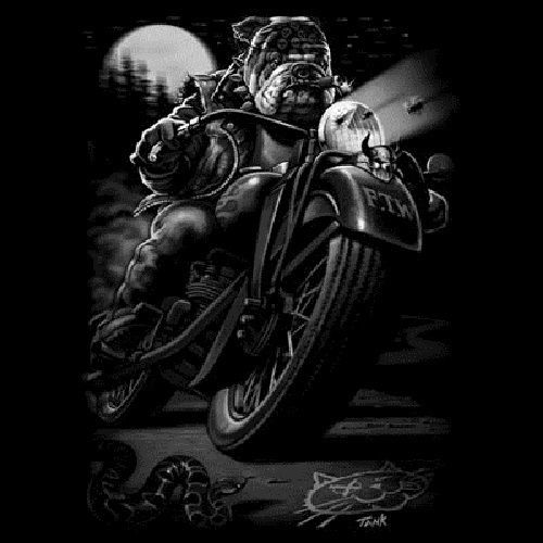 Cats suck motorcycle biker heat press transfer for t shirt sweatshirt tote  040o for sale