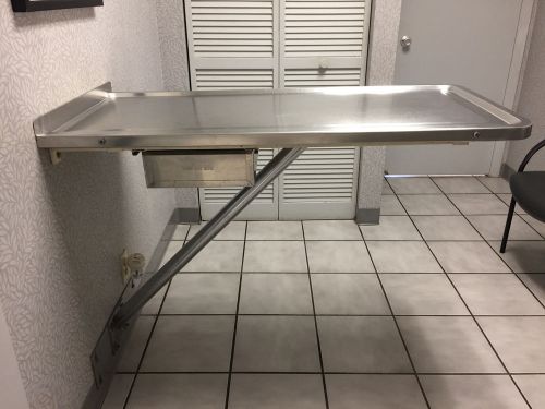 veterinary stainless steel wall-mount exam table