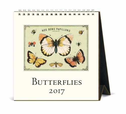 Cavallini &amp; Co. 2017 Butterflies Desk Calendar