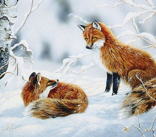 New Wildlife Art Work Love Story Fox Mouse Pad Mats Mousepad Hot Gift