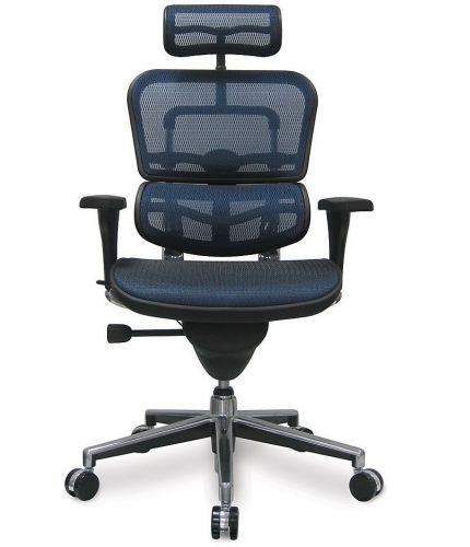 Ergohuman High Back Swivel Office Chair w/ Headrest Black Mesh &amp; Chrome Base NEW