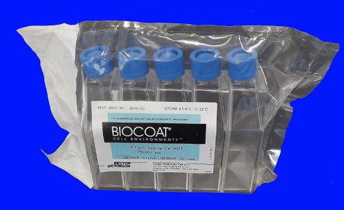 Lot 50 new bd biocoat 250ml cell culture flask 75 cm? canted neck &amp; vented cap for sale