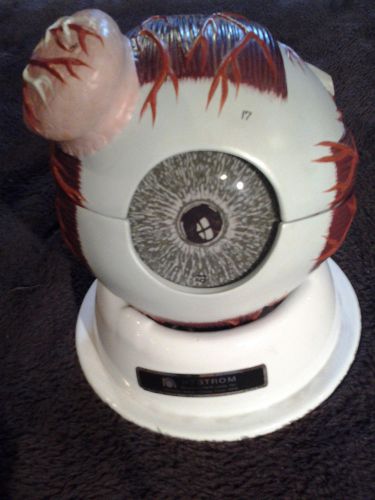 Vintage Hand-painted Nystrom King-Sized Anatomical Eye Model