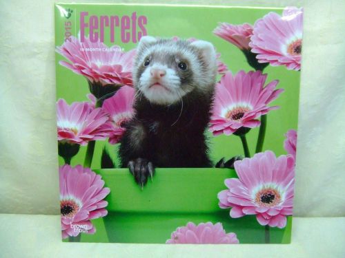 Brown Trout &#034;Ferrets&#034; 12&#034; 2015 18 Month Calendar New Factory Sealed