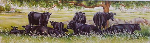 Farm art prints black angus cattle cow art cows ap for sale