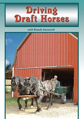 DVD - Driving Draft Horses - By: Brandt Ainsworth