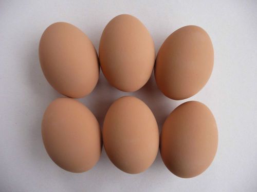 1 DOZ  Brown Ceramic Dummy Chicken Nesting Eggs