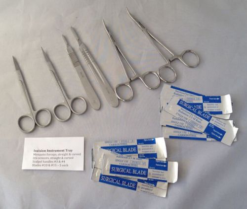 Incision Instrument Tray, six (6) stainless steel instruments